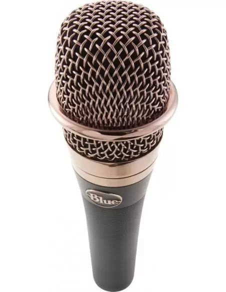 Blue Microphones enCORE 200