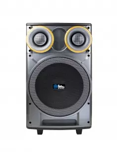 Купить Автономная акустическая система Sky Sound SPA-12  2