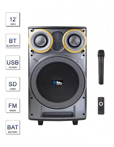Купити Автономна акустична система Sky Sound SPA-12