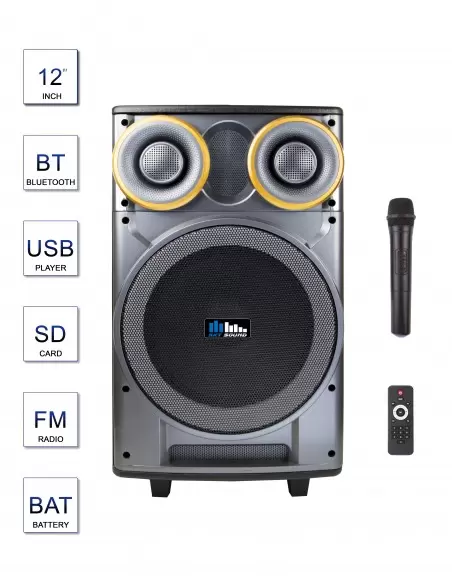 Купить Автономная акустическая система Sky Sound SPA-12 