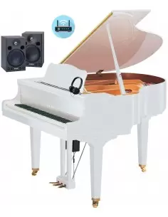 Купить Дисклавир YAMAHA DGB1K ENST DISKLAVIER ENSPIRE ST (PWH) 