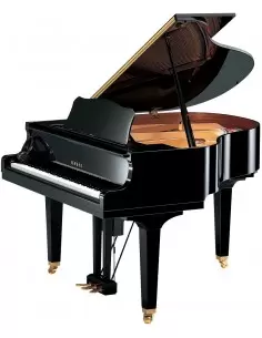 Купить Дисклавир YAMAHA DGB1K ENST DISKLAVIER ENSPIRE ST (PE)  2