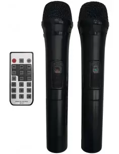 Soundking LS911 2