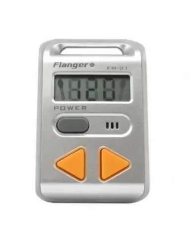 FLANGER FM-01