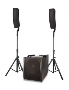 Активная акустическая система NGS COMBO 1222 500W