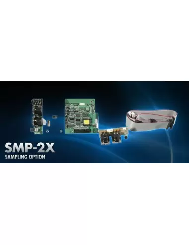 Kurzweil SMP-2X