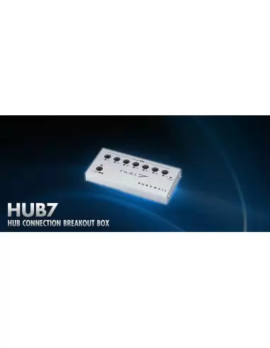 Kurzweil HUB-7