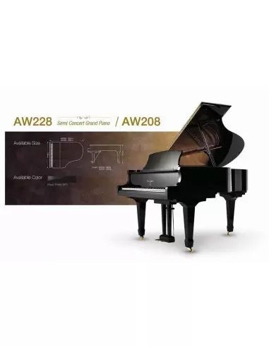 Купить Акустический рояль Albert Weber AW 228 BP 