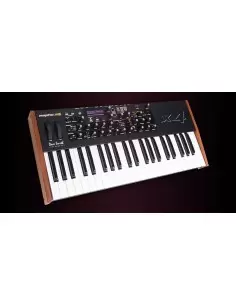 Dave Smith Instruments Mopho x4 Keyboard