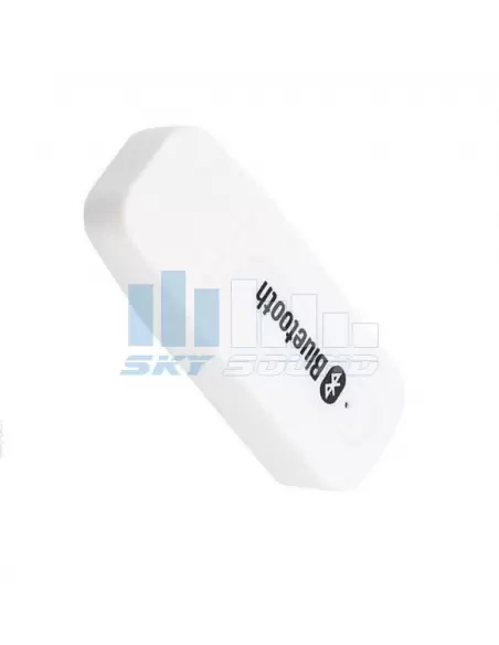 Купить РЕСИВЕР SKY SOUND Bluetooth Receiver (white) 