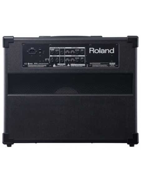 ROLAND GA-112