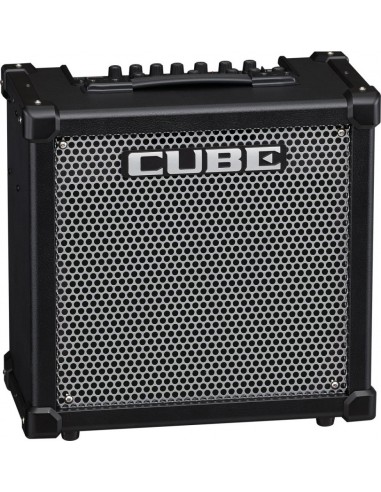 ROLAND CUBE80GX