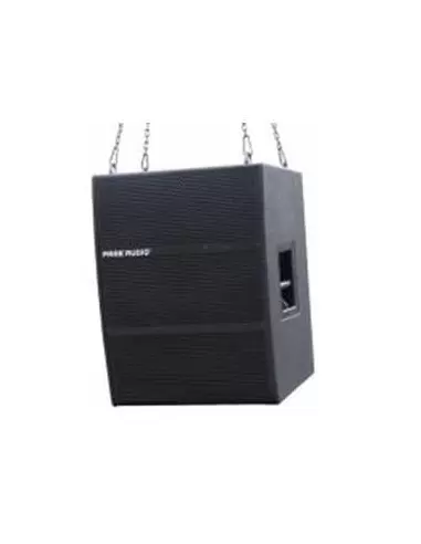 Купить Park Audio T536e Активный громкоговоритель линейного массива 