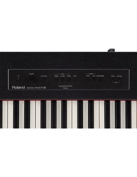 ROLAND F20DW