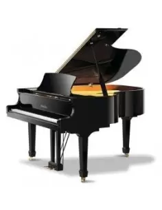 PEARL RIVER GP170 ebony