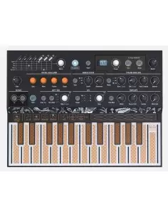 Arturia MicroFreak (19-1-14-13) 2