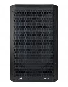 PEAVEY DM115 2