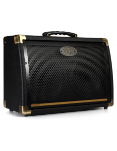 PEAVEY Ecoustic E208 Acoustic Amp Combo