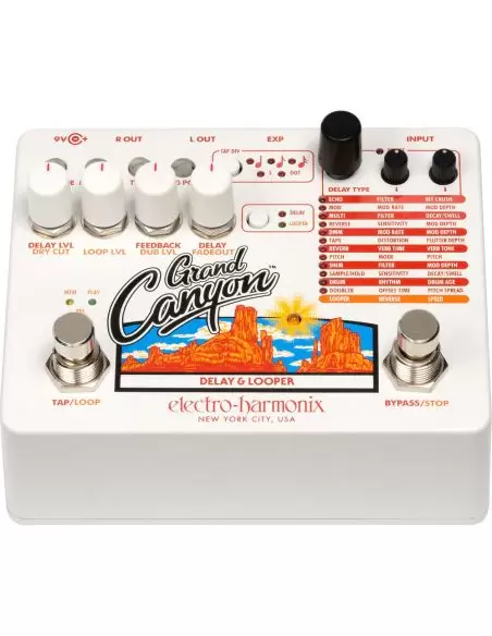 Electro-harmonix Grand Canyon Delay and Looper