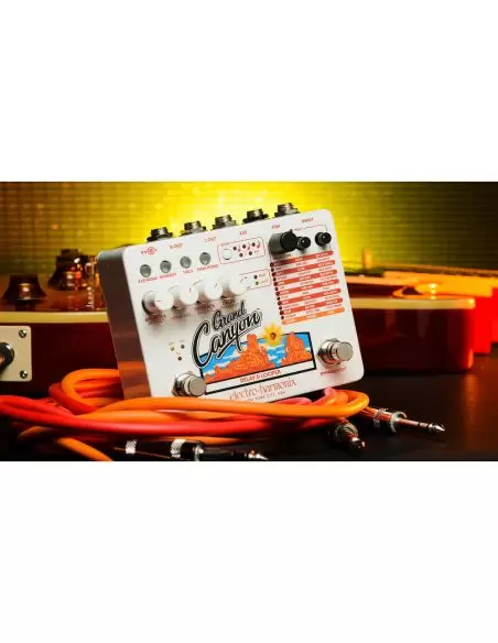 Electro-harmonix Grand Canyon Delay and Looper