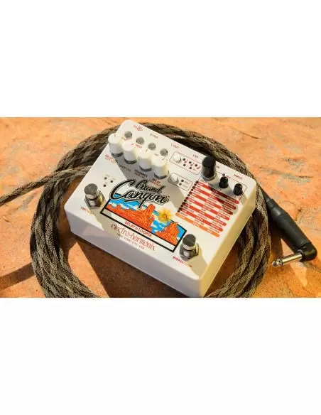 Electro-harmonix Grand Canyon Delay and Looper