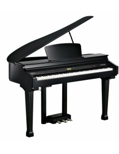 Kurzweil KAG-100 EP 2