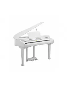 Kurzweil KAG-100 WHP