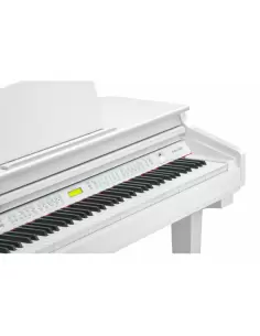 Kurzweil KAG-100 WHP 2