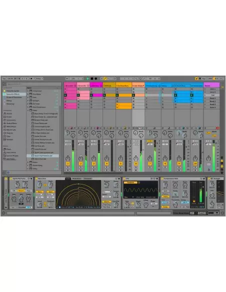 Ableton Live 10 Suite, UPG from Live 1-9 Standard