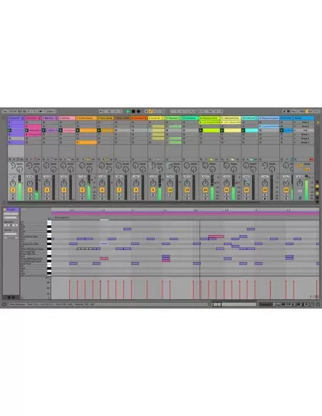 Ableton Live 10 Suite, UPG from Live Intro