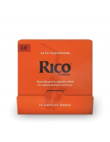 Тростини для альт саксофона D'ADDARIO RJA0120 - B25 Rico by D'Addario - Alto Sax #2.0 - 25 Box