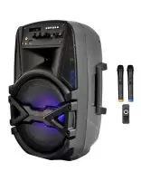 Купить Автономная акустика BIG BIG100BAT USB/MP3/FM/BT/TWS + 2pcs VHF mic 