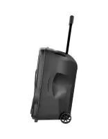 Купить Автономная акустика BIG BIG200BAT USB/MP3/FM/BT/TWS + 2pcs VHF mic 