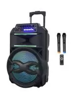 Купить Автономная акустика BIG BIG240BAT USB/MP3/FM/BT/TWS + 2pcs VHF mic 