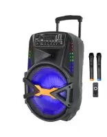 Купити Автономна акустика BIG BIG250BAT USB/MP3/FM/BT/TWS + 2pcs VHF mic