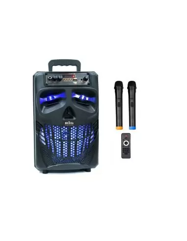Купить Автономная акустика BIG BIG120HALLOWEN USB/MP3/FM/BT/TWS + 2pcs VHF mic 