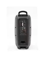 Купить Автономная акустика BIG BIG220ENCORE USB/MP3/FM/BT/TWS + 2pcs VHF mic 