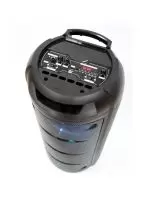 Купить Автономная акустика BIG BIG150ELYSIUM USB/MP3/FM/BT/TWS + 2pcs VHF mic 