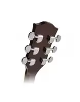 Купить Акустическая гитара Richwood RD - 12 (Черный) 