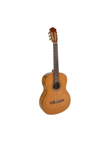 Купить Классическая гитара Salvador Cortez CC - 06 