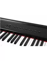 Купить Цифровое пианино Artesia PA88H (Black) 
