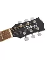 Купити Акустична гітара Richwood RA-12-BK