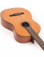 Классическая гитара Santos Martinez SM350