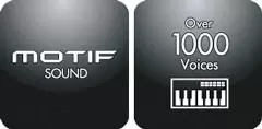 Over 1000 Sounds from the MOTIF Series