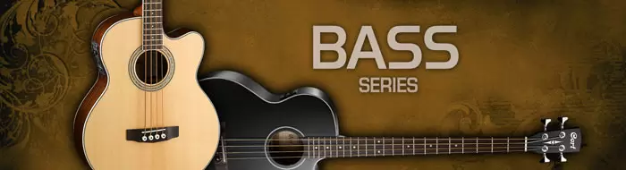Cort Acoustic Bass-PROSHOW.COM.UA
