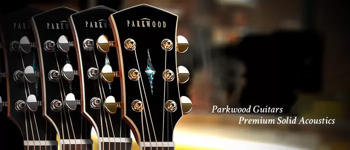 Parkwood Guitars - PROSHOW.COM.UA