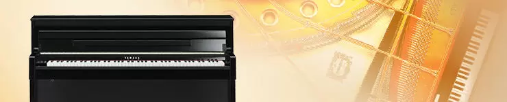 Цифрове піаніно Yamaha Clavinova CLP-525 купити